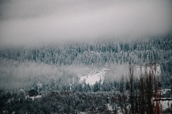 조지아 주 스 바네 티의 높은 고도 정착지인 메스 티아의 겨울 풍경. 백조 탑. — 스톡 사진