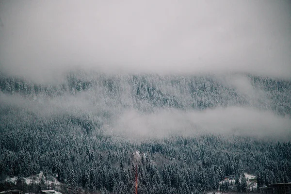 Zimowe krajobrazy wysokogórskiej osady Mestia, Svaneti, Gruzja. Wieże łabędzie. — Zdjęcie stockowe