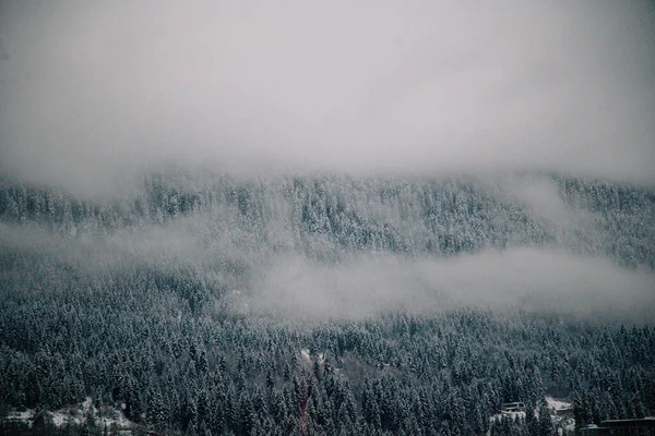 Winter landscapes of the high-altitude settlement of Mestia, Svaneti, Georgia. Swan towers. — Stock Photo, Image