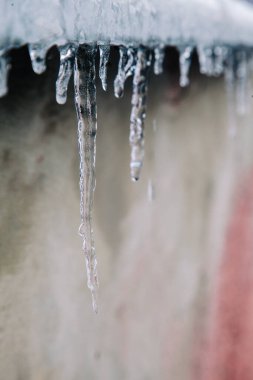 İlk küçük buz saçakları çatıdan sarkıyor ve güneşte eriyor.