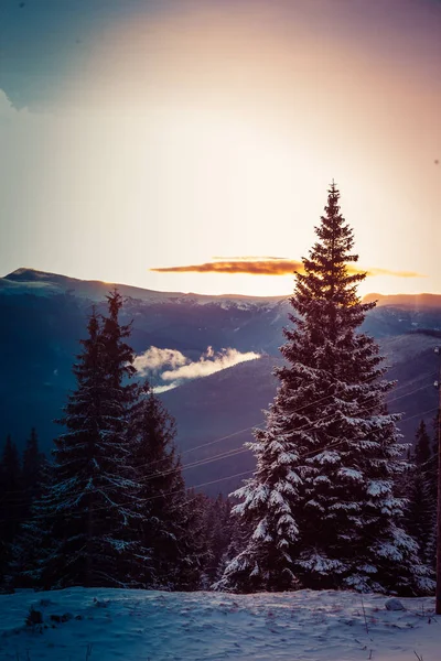 冬の美しい夜明け雪に覆われた山々と驚くほど美しい雲 — ストック写真