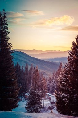Şafak vakti dağların vadisinde sis kıvrılır.