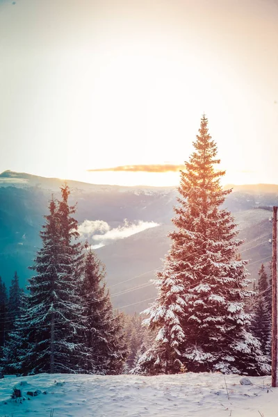 Kışın güzel şafak, karla kaplı dağlar ve inanılmaz güzel bulutlar. — Stok fotoğraf