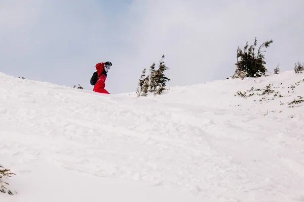 Cara de macacão vermelho brilhante monta freeride em um snowboard — Fotografia de Stock