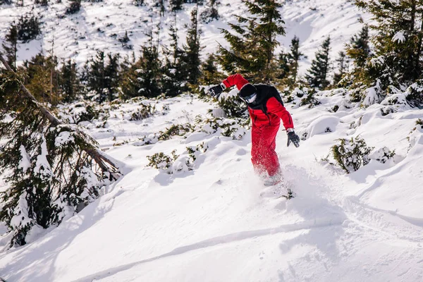 Facet w jasnoczerwonym kombinezonie jeździ freeride na snowboardzie — Zdjęcie stockowe