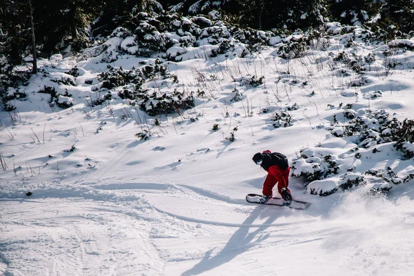 Facet w jasnoczerwonym kombinezonie jeździ freeride na snowboardzie — Zdjęcie stockowe