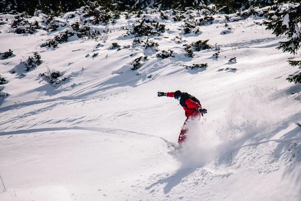 Facet w jasnoczerwonym kombinezonie jeździ freeride na snowboardzie — Zdjęcie stockowe