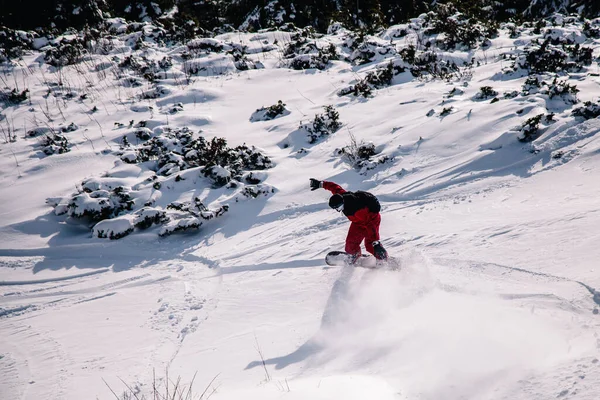 Cara de macacão vermelho brilhante monta freeride em um snowboard — Fotografia de Stock