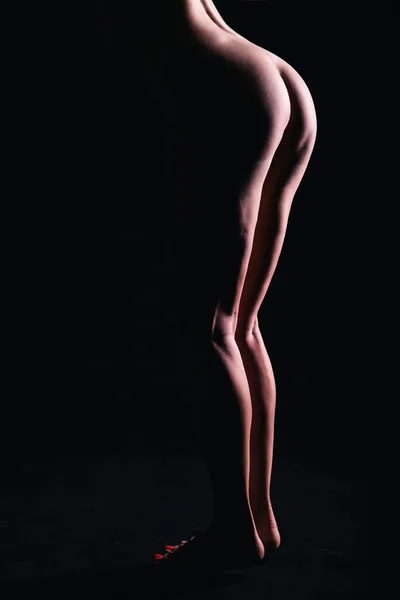 Silhouette of a young, slender, on a black background in a photo studio — Fotografia de Stock