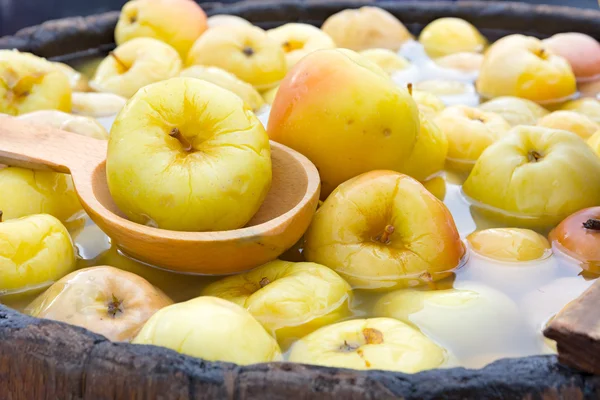 Ingemaakte appels. Stockfoto