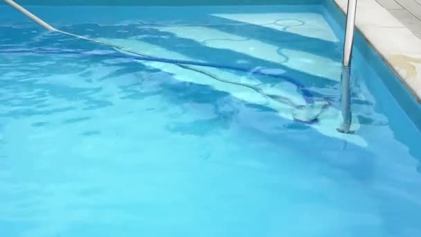 Reinigung des Schwimmbades. — Stockvideo