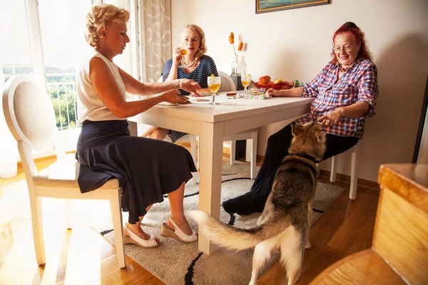 üst düzey kadın ve sevimli köpek, evde