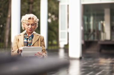 üst düzey bir iş kadını