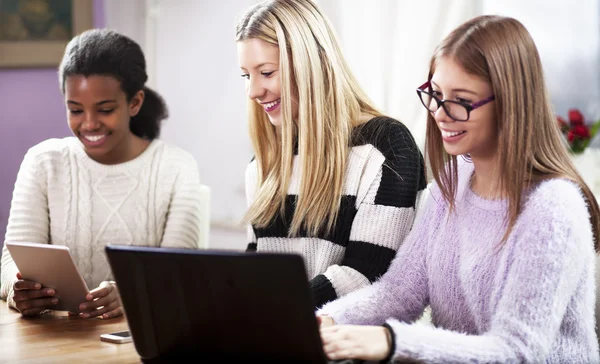 Girls studding together, on a computer Stock Picture