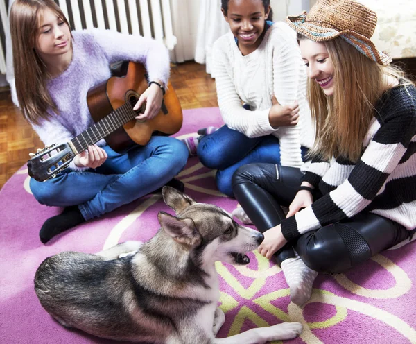 Собака дома со своими друзьями — стоковое фото