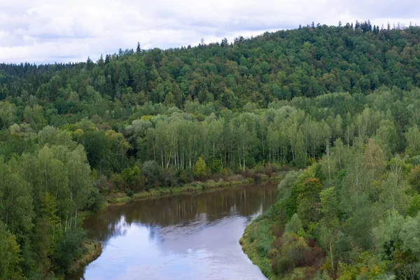 Bird Eye View Mighty Forest Rainy Day River Europian Mixed — Stock Photo, Image