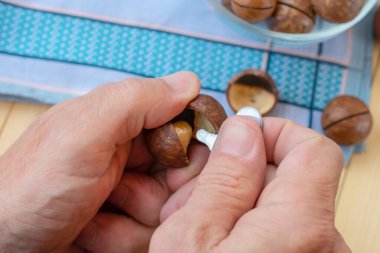 Avustralyalı fındıkları açan adamlar anahtarlı Macadamia olarak da bilinir. Macadamia cevizlerinin kırılan çekirdekleri görüntüyü kapatır.