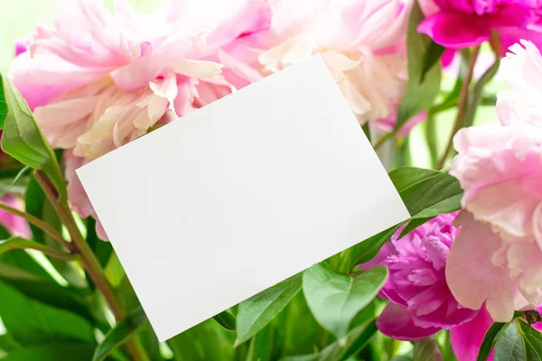 Şakayık çiçekleri üzerine boş nottan yapılmış bir maket. Boşluğu kopyala