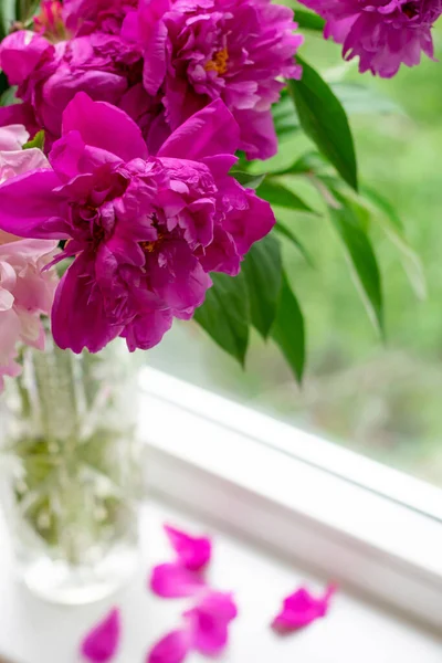 stock image Close up view of peony flowers and fallen petals in vase as cosy home concept