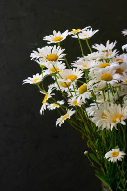 Bir sürü beyaz papatya çayı, saplı sarı çekirdekler ve gri desenli taş zemin üzerinde yeşil yapraklar, dikey format.