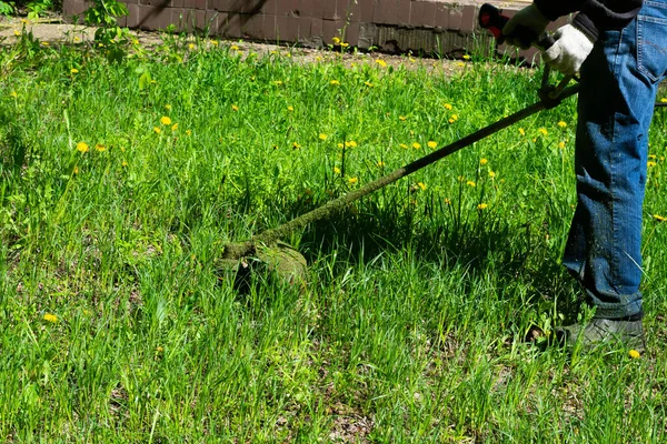 Bahçe çimlerini biçen adam yaz mevsiminde çim biçer. Uzun otlar.