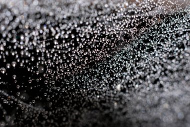 Örümcek ağının karmaşık dokusundan yapılmış doğal bir arka plan. Bir sürü yuvarlak su damlası olan ıslak örümcek ağı iplikleri.