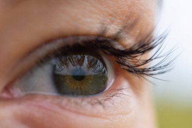 İyi ya da kötü görüş, göz bilimi kavramı, gelecek ve fırsatlar metaforu. Macro dişisi uzun kirpiklerle yeşil göz, iris üzerinde ufuk yansıması açtı..