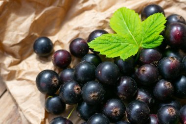 Bir sürü taze, olgun, siyah üzümlü ve yeşil yapraklı kağıt arkaplan. Böğürtlenli kompozisyon