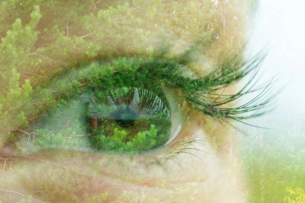 Concept of saving planet, nature and earth, eco friendly and consciousness. Double exposure with macro green female eye with long lashes and green lush foliage of forest