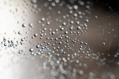 Örümcek ağlı doğal bir geçmişi var. Karmaşık ıslak ağ iplikleri üzerinde yuvarlak küçük su dopları 