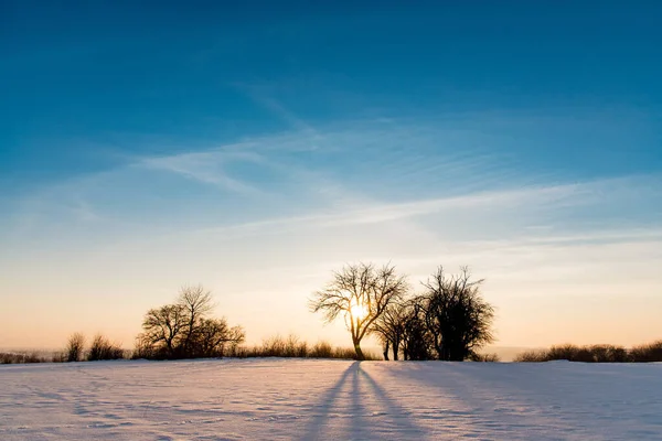 Dramatic winter sunset, freezing cold, snow covered. Clear blue sky at winter dusk. Fairy winter background.