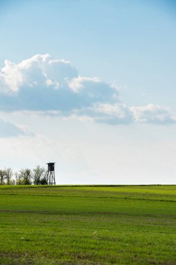 Tahta Avcıları Yeşil tarım alanındaki Yüksek Koltuk av kulesi. 