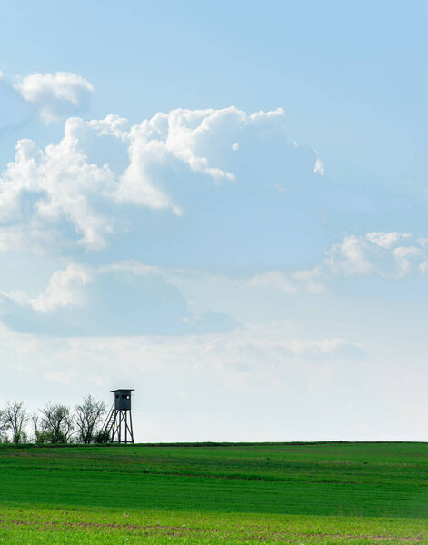 Wooden Hunters High Seat hunting tower on the green agriculture field. 