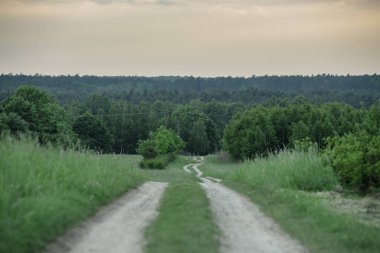 Çayırları ve ağaçları olan güzel bir ilkbahar manzarası. Polonya. Banliyö bölgesi.
