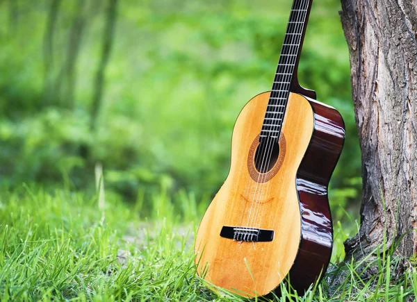 Gitara klasyczna — Zdjęcie stockowe