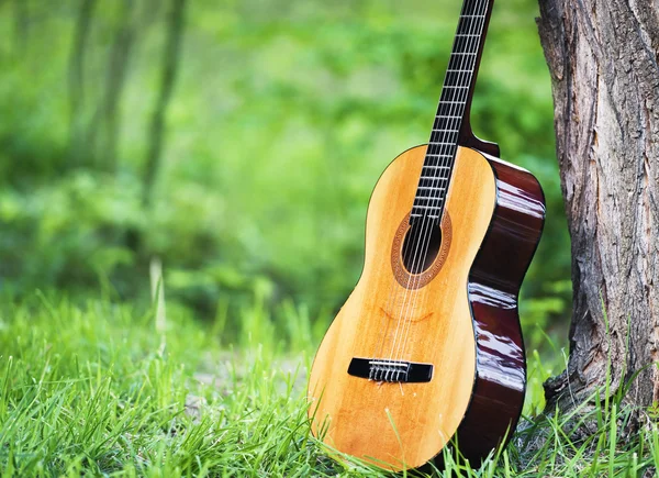 Klassische Gitarre — Stockfoto