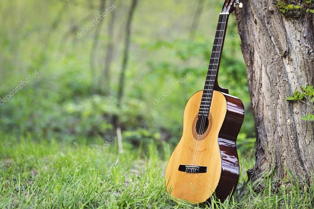 Classical guitar Stock Photo by ©Snowboy 68257497