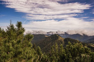 Sonbahar yürüyüşü sırasında çekilen Velka Fatra 'nın manzaralı dağ manzarası. Yuvarlanan tepeler, sisli bulutlar ve sıcak ışık seyahat, macera ve doğa kavramları için mükemmel sakin, doğal bir atmosfer yaratır..