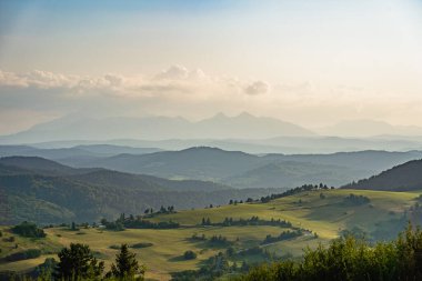 Uzak Tatra manzaralı Pieniny dağlarının yaz manzaraları, altın saat yürüyüş manzarası