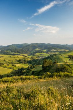 Uzak Tatra manzaralı Pieniny dağlarının yaz manzaraları, altın saat yürüyüş manzarası