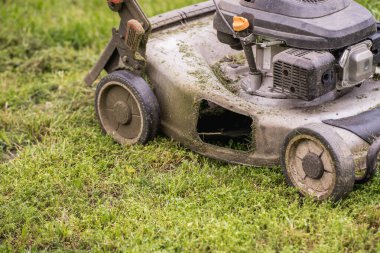 Yeşil bir çim biçmek ve korumak için kullanılan benzin çim biçme makinesi. Bahçe bakımı, bahçe bakımı ve mevsimlik açık hava işleri..