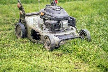 Yeşil bir çim biçmek ve korumak için kullanılan benzin çim biçme makinesi. Bahçe bakımı, bahçe bakımı ve mevsimlik açık hava işleri..
