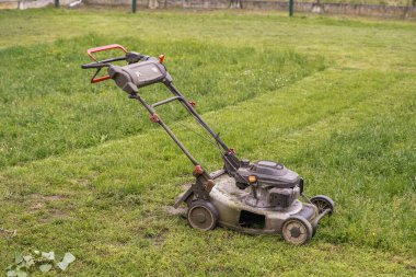 Yeşil bir çim biçmek ve korumak için kullanılan benzin çim biçme makinesi. Bahçe bakımı, bahçe bakımı ve mevsimlik açık hava işleri..