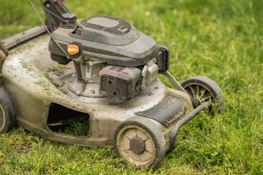 Yeşil bir çim biçmek ve korumak için kullanılan benzin çim biçme makinesi. Bahçe bakımı, bahçe bakımı ve mevsimlik açık hava işleri..