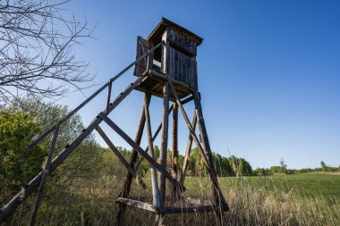 Ormandaki av kulesi ve açık arazi