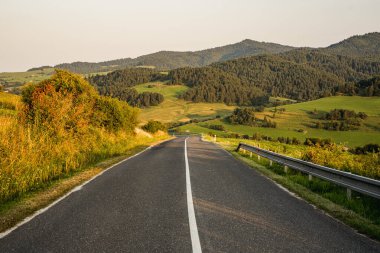 Yeşil dağ manzarası boyunca uzanan boş yol