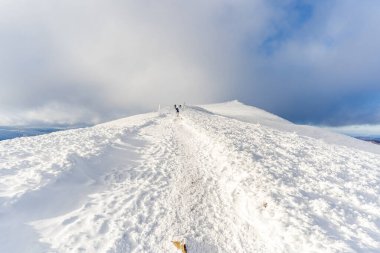 Soğuk bir kış günü Bieszczady Dağları 'nda karla kaplı Poonina Caryska. Açık dağ sırtı, donmuş patika, dramatik bulutlar ve açık gökyüzü Polonya dağlarında klasik bir kış yürüyüşü manzarası yaratır..