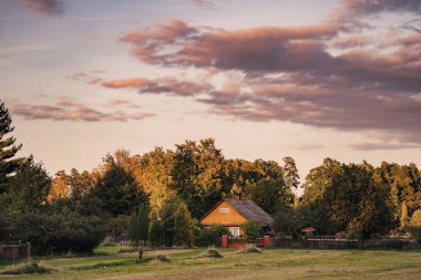 Gün batımında sakin bir Polonya köyünde ağaçlar ve tarlalarla çevrili geleneksel ahşap kır evi..