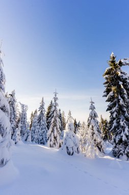 apsowa Polana kış kayak pisti, Gorce Dağları, Polonya