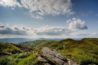 Tarnica Tepesi Panorama, Bieszczady Dağları Yaz Yürüyüşü